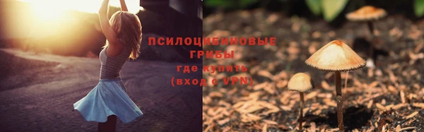 прущие грибы Алексеевка